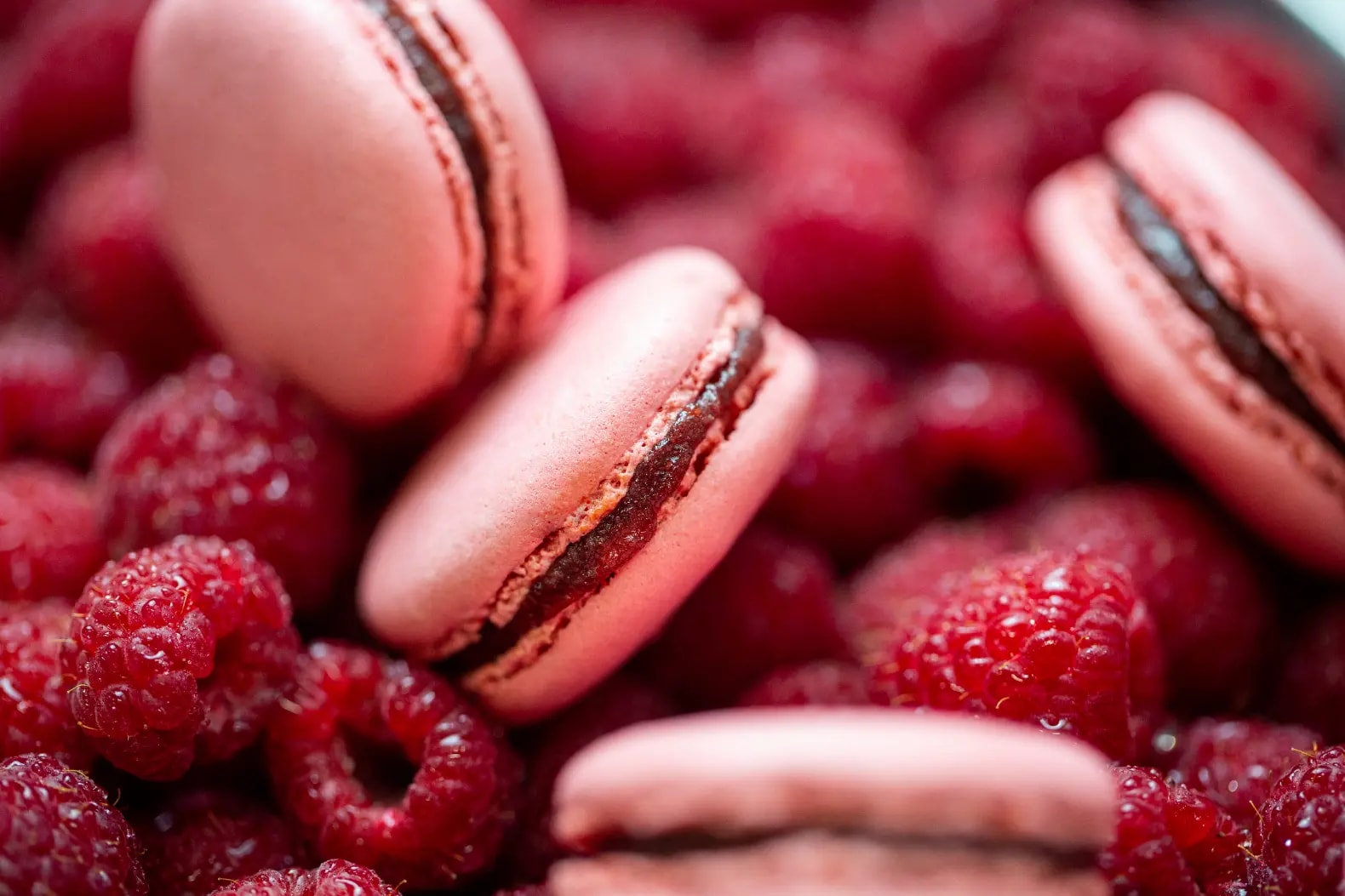 Κοντινή λήψη του εμβληματικού macaron Ladurée